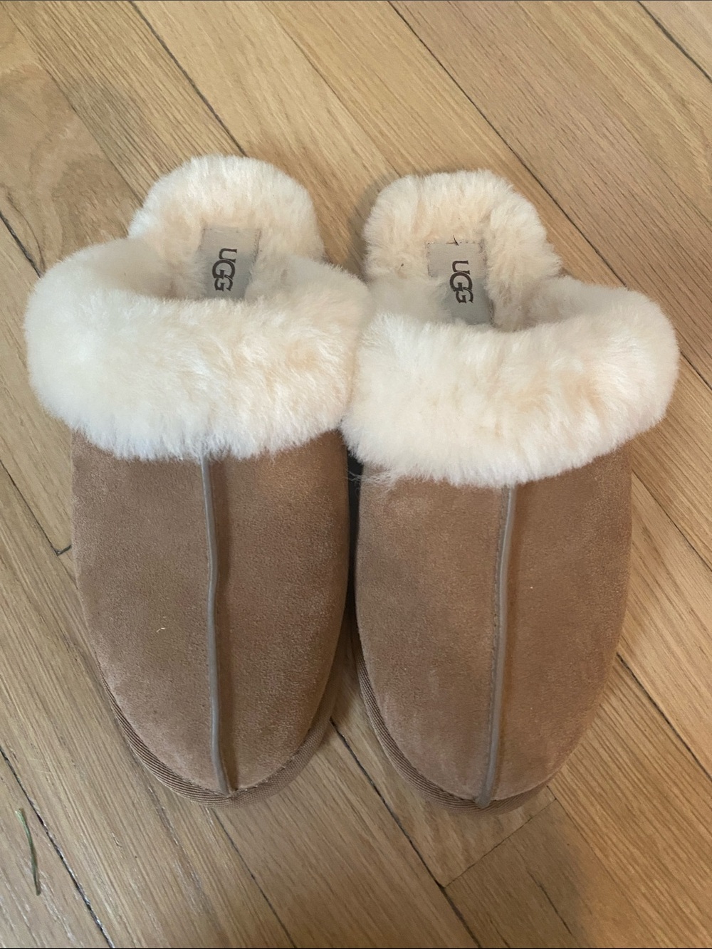 UGG Chestnut Sheepskin Mule Slippers with Cream Collar